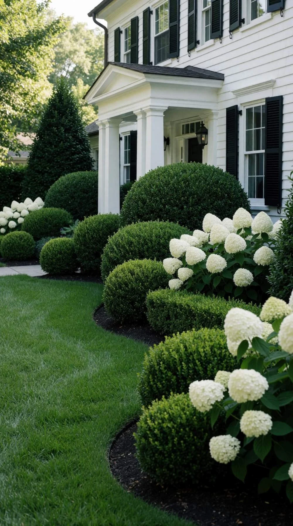 White house with boxwood hedges and hydrangeas