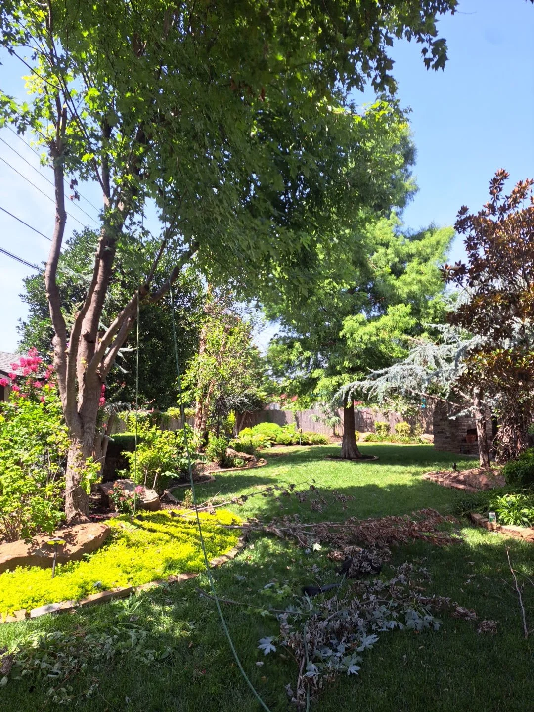 Calvert garden 1.JPG