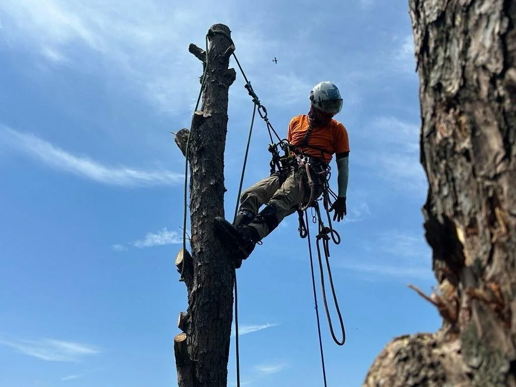 The Way Services (42).jpg