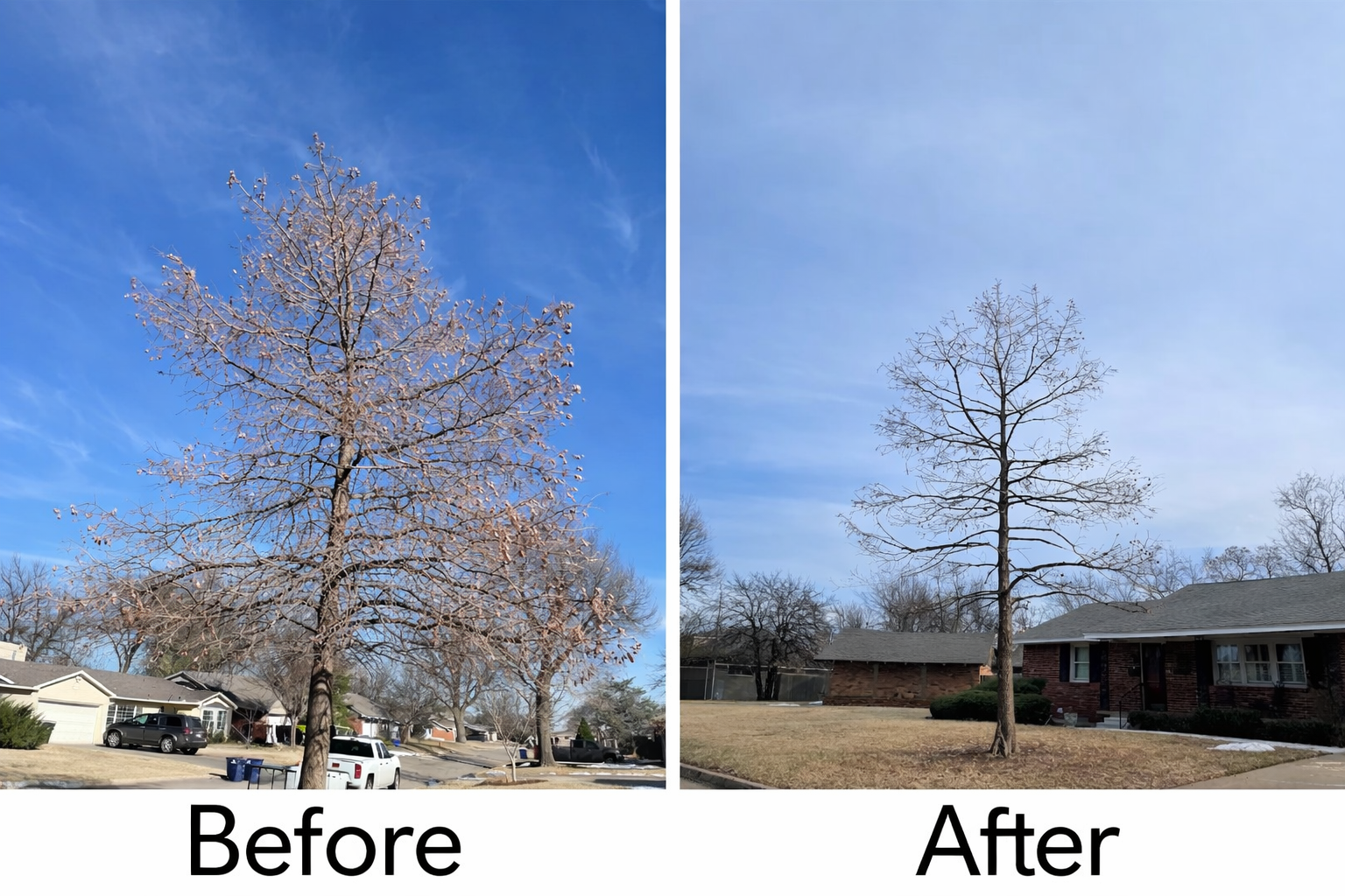 Before-After tree.png