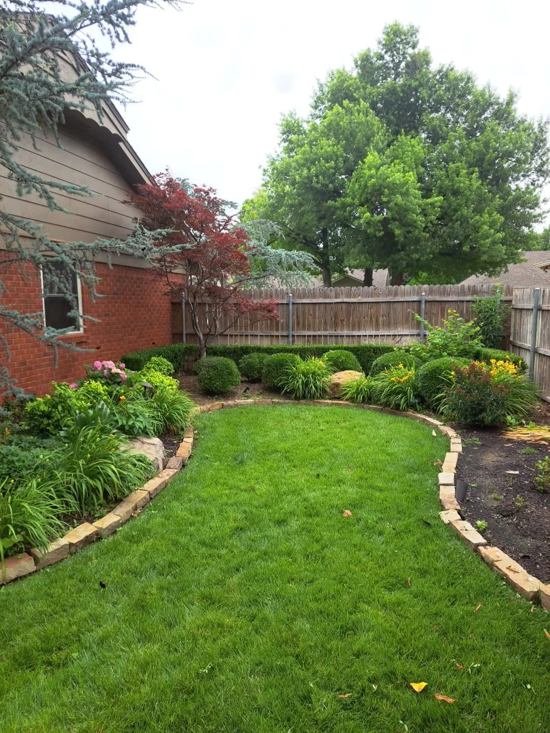 Calvert back yard after.JPG