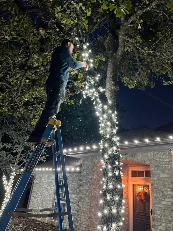 Daniel wrapping tree.jpg