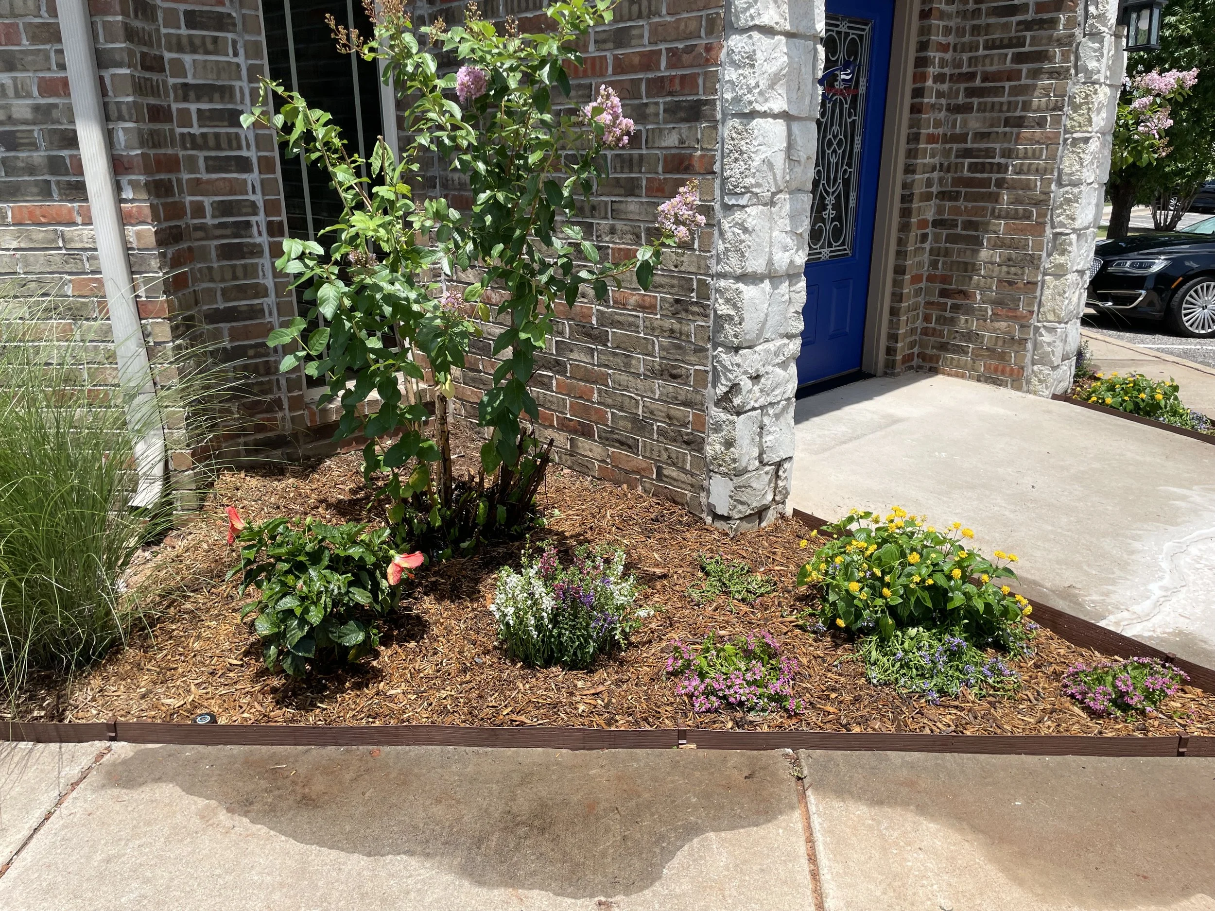 Brown-Hall Flowerbeds.jpeg