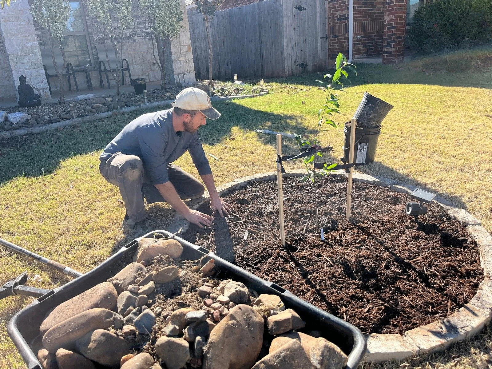 Daniel Tree-mulch.jpg