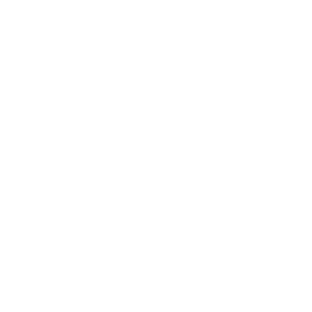 Noah Ernst 4 Metro Council