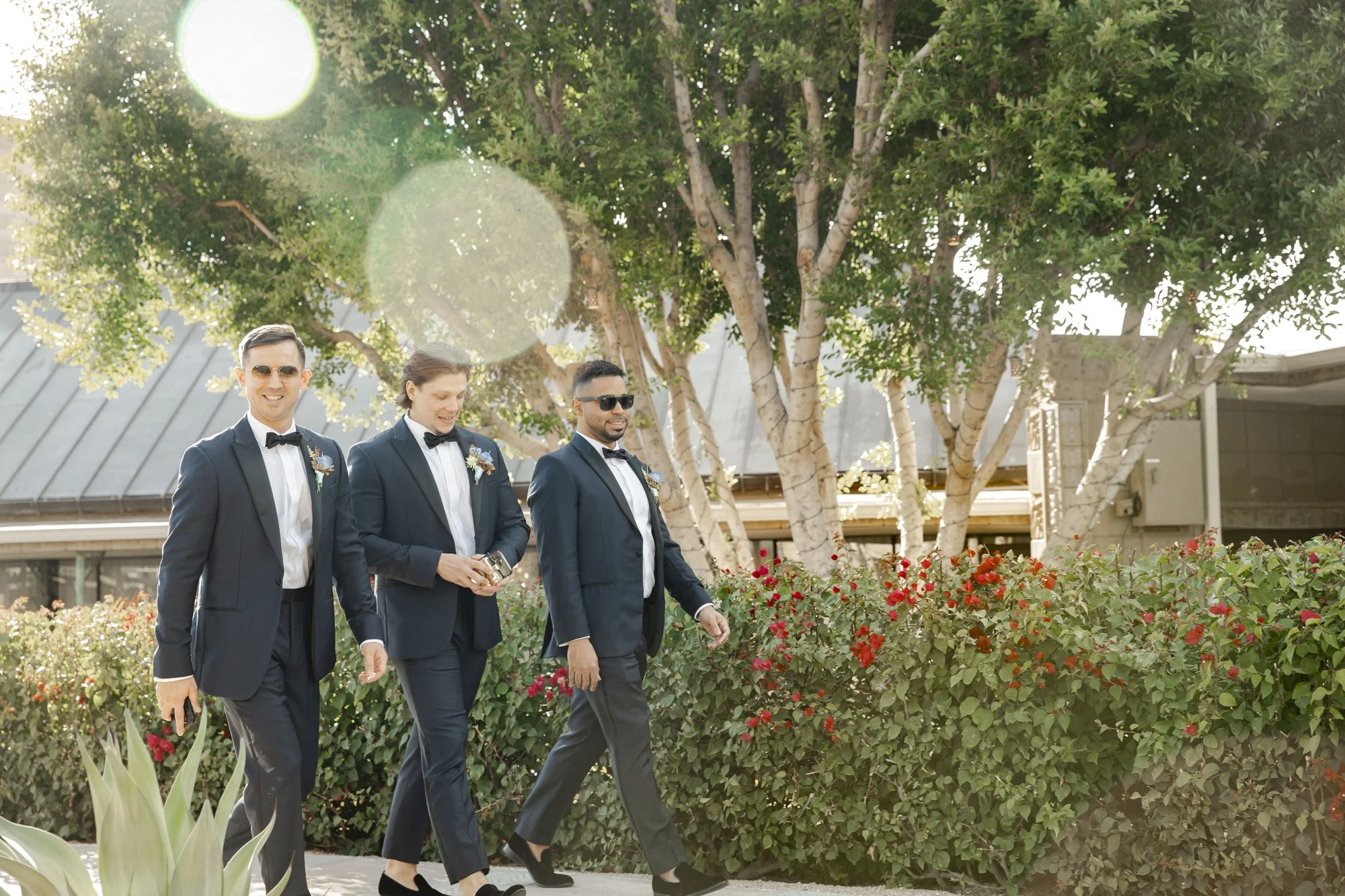 three men in tuxedos and bowties walking down a path with lots of greenery and a big tree behind them
