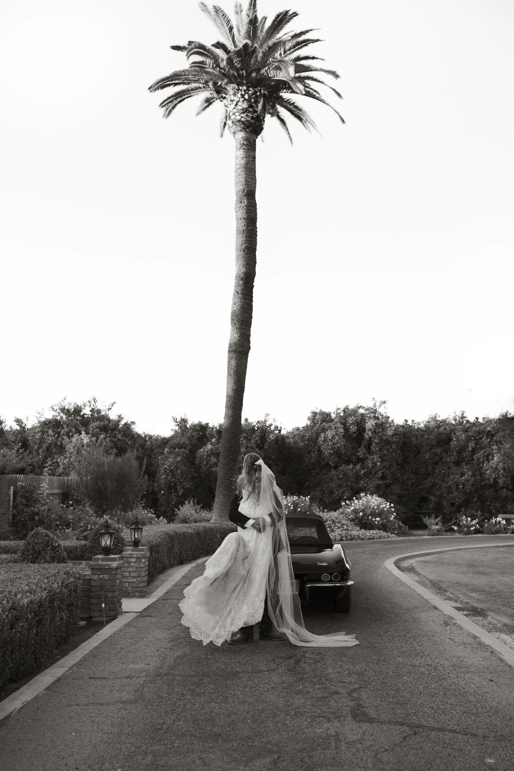 A black-and-white photo of a bride and groom embracing, standing on a paved driveway with a sports car behind them. There are shrubs, trees, and a large palm tree in the background, with the bride wearing a wedding gown and veil, and the groom in a suit.