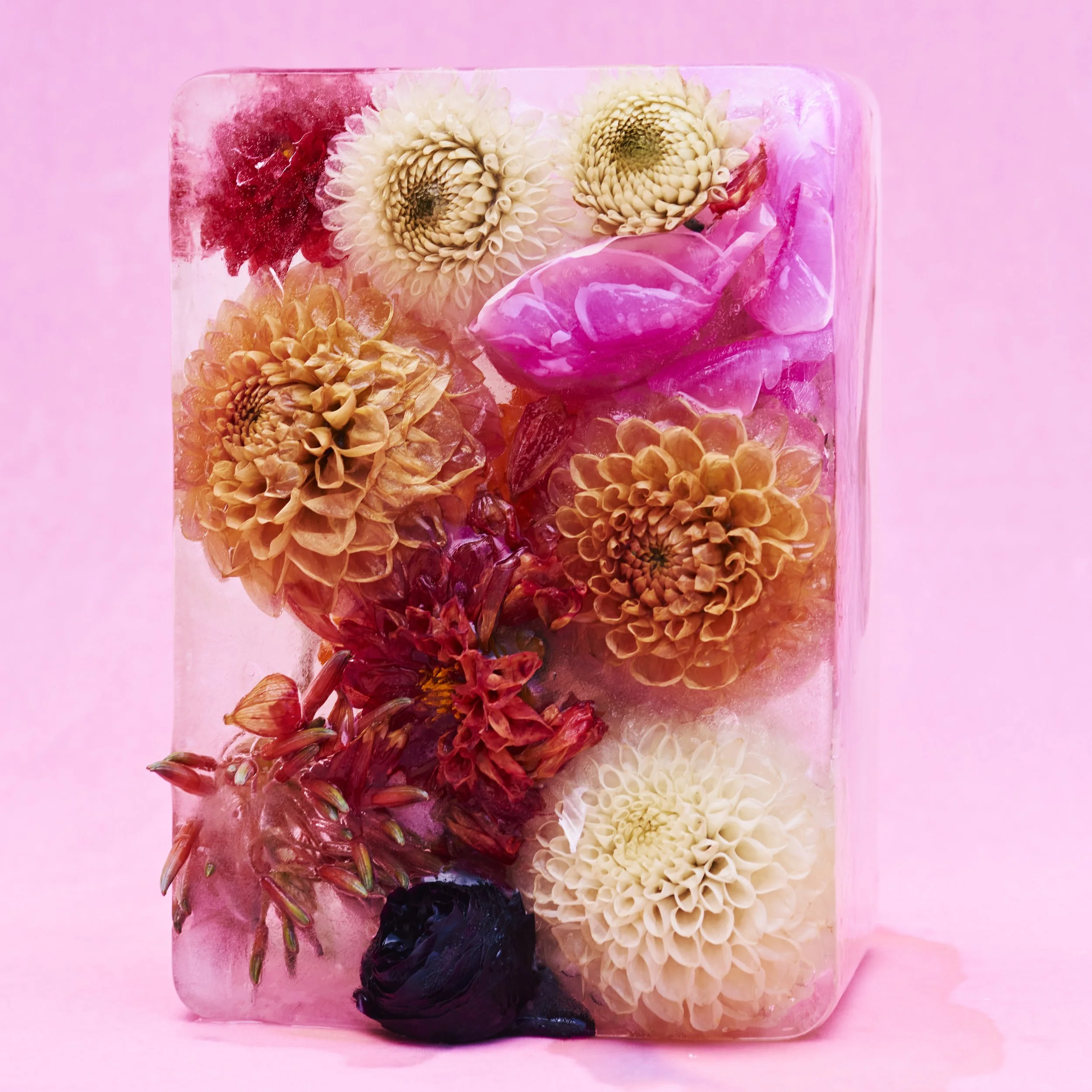 A transparent rectangular block with embedded dried and preserved flowers in shades of pink, cream, orange, and purple against a pink background.