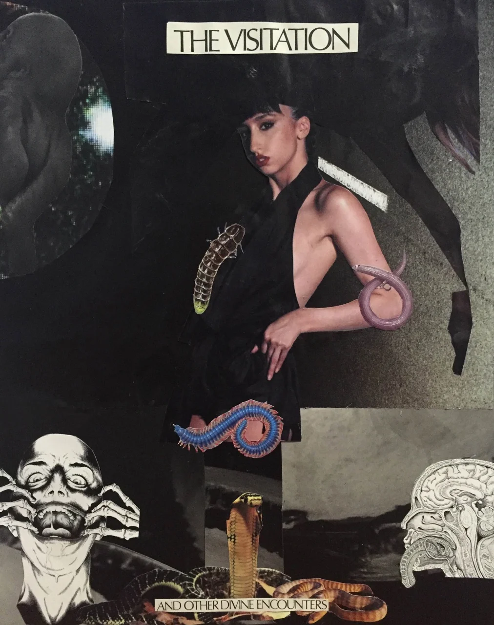 An art collage titled 'The Visitation' featuring a woman with a snake around her arm, a caterpillar on her chest, and a colorful centipede-like creature near her waist. The background includes a black and white alley scene, a skull with alien-like ha