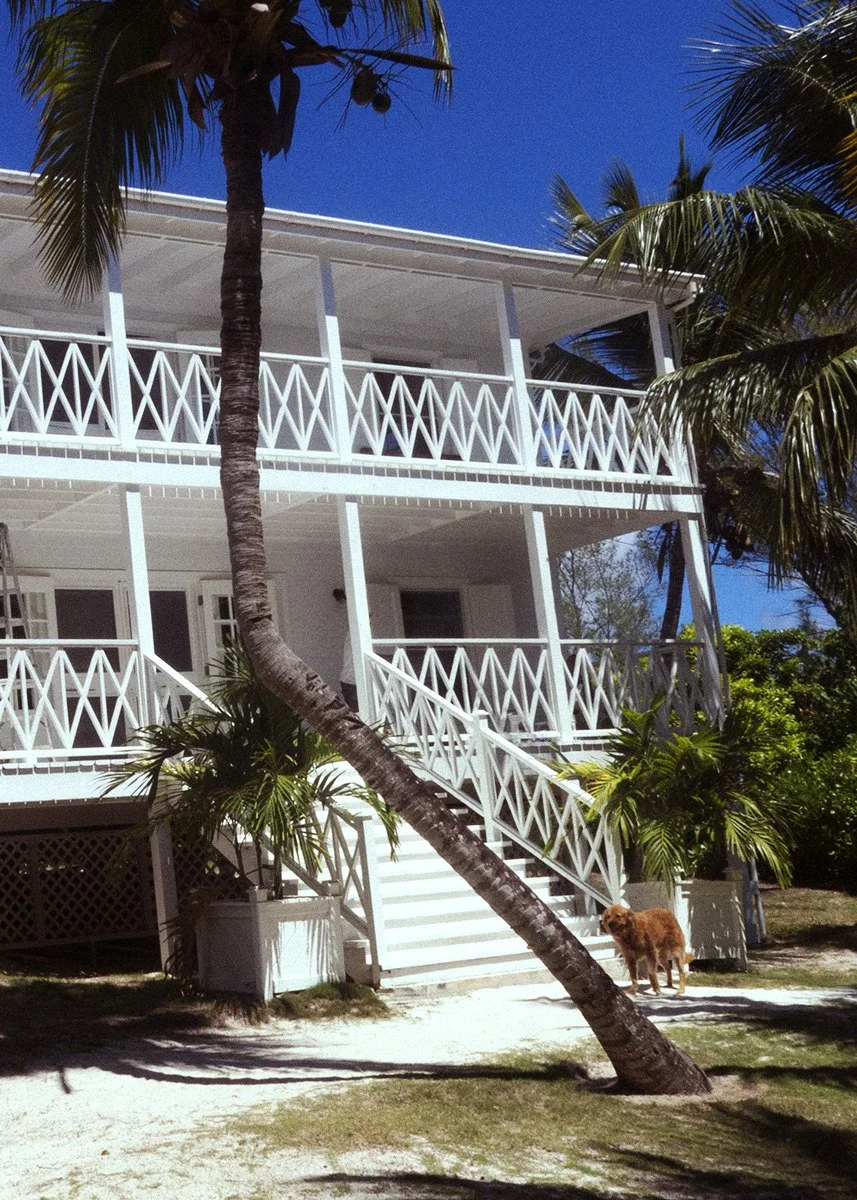 A white, two-story beach house with balconies and stairs, surrounded by palm trees under a clear blue sky. A dog stands on the ground near the stairs.