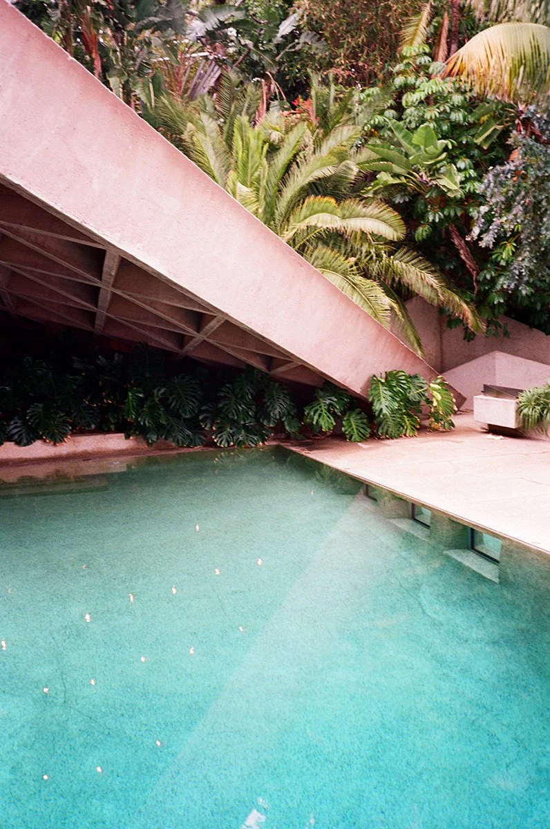 A tropical outdoor pool area surrounded by lush green plants and trees, with a concrete deck and pink wall.