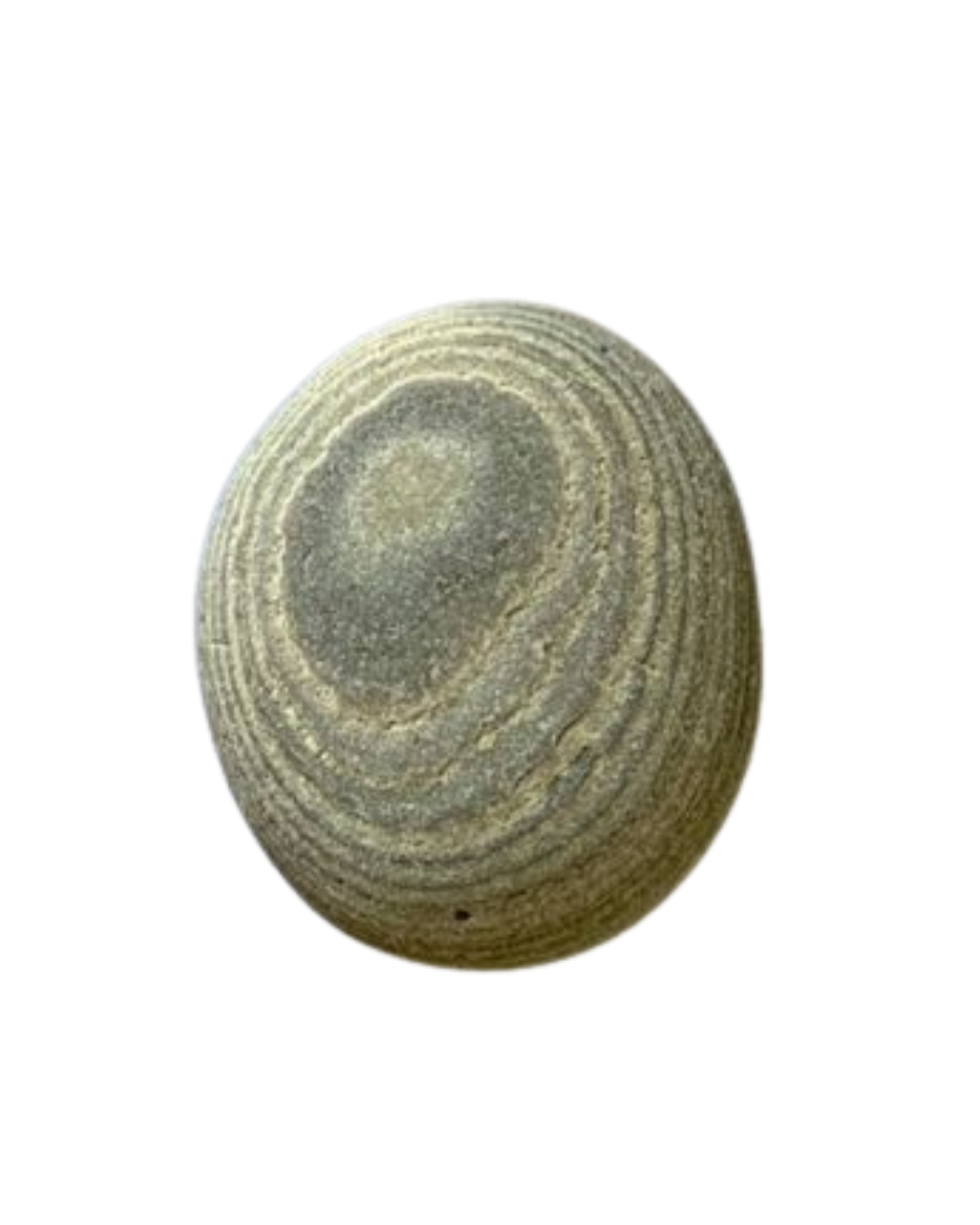 Smooth stone with concentric ring patterns, representing gradual nervous system healing in chronic illness and Lyme disease recovery.