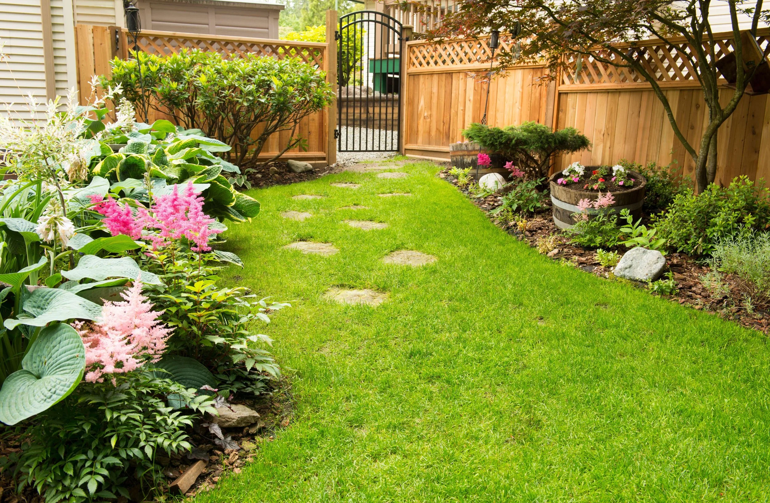 Landscape design and install with lawn and edging in Charlottesville, VA