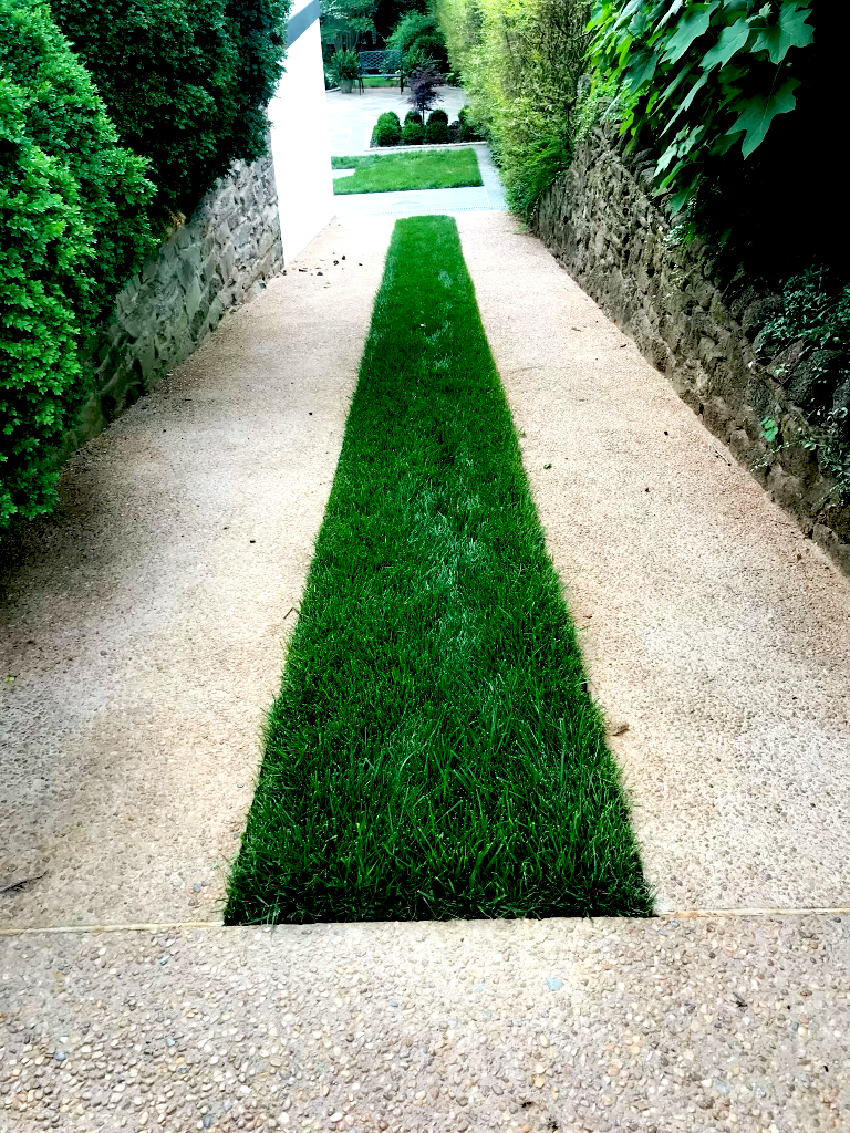 imgi_71_new+lawn+1.png