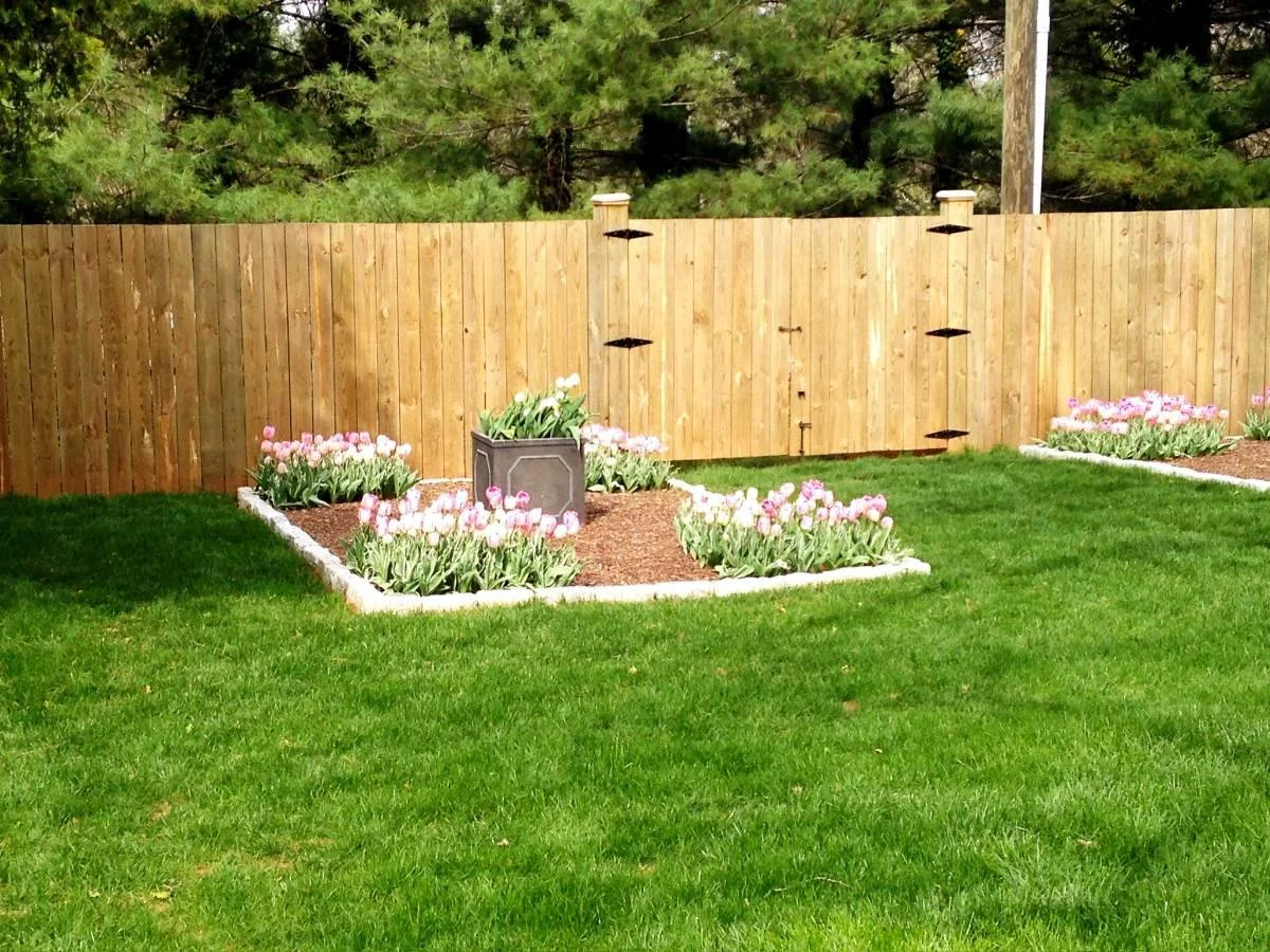 A backyard with a green lawn, bordered by a wooden fence. There are flower beds with pink tulips and a decorative gray container in the center of one flower bed, with some smaller plants and flowers around it. The background includes trees behind the
