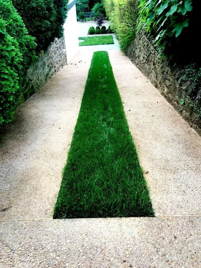 Decorative concrete walkway with lawn installation in Charlottesville, VA