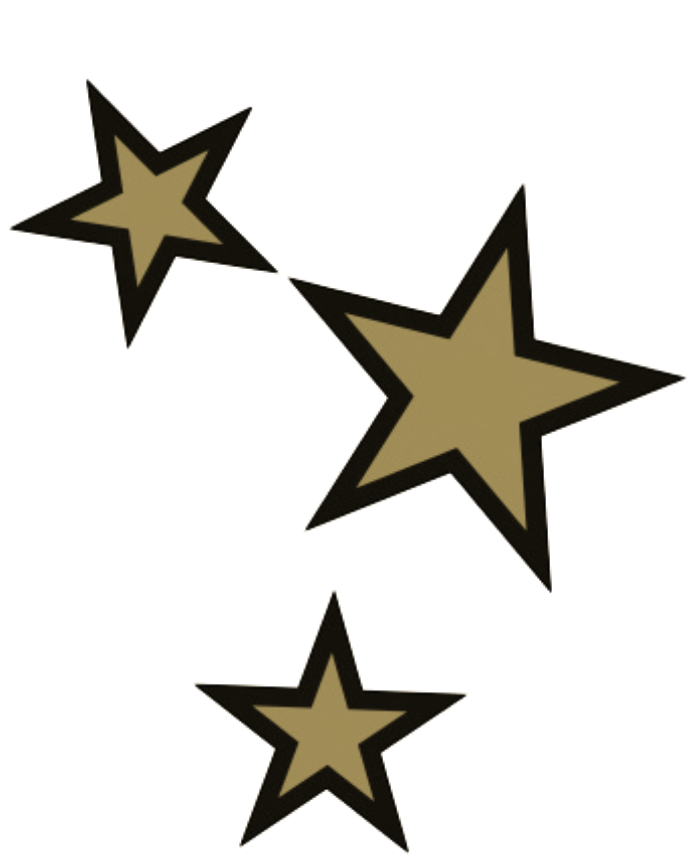 Black and gold stars illustration