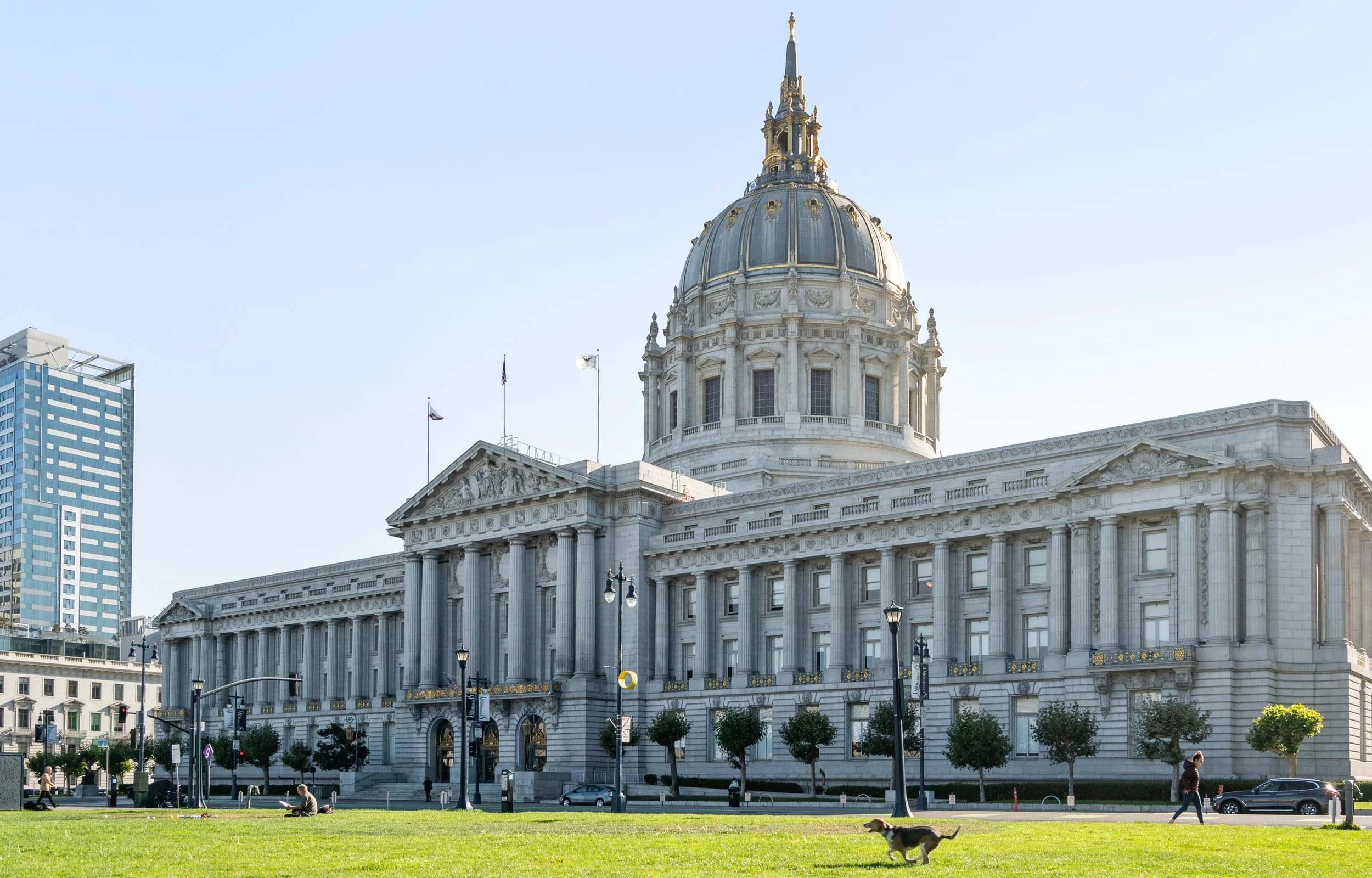 San Francisco City Hall with a green lawn in the foreground and people walking and sitting, and a dog running, under a clear sky.