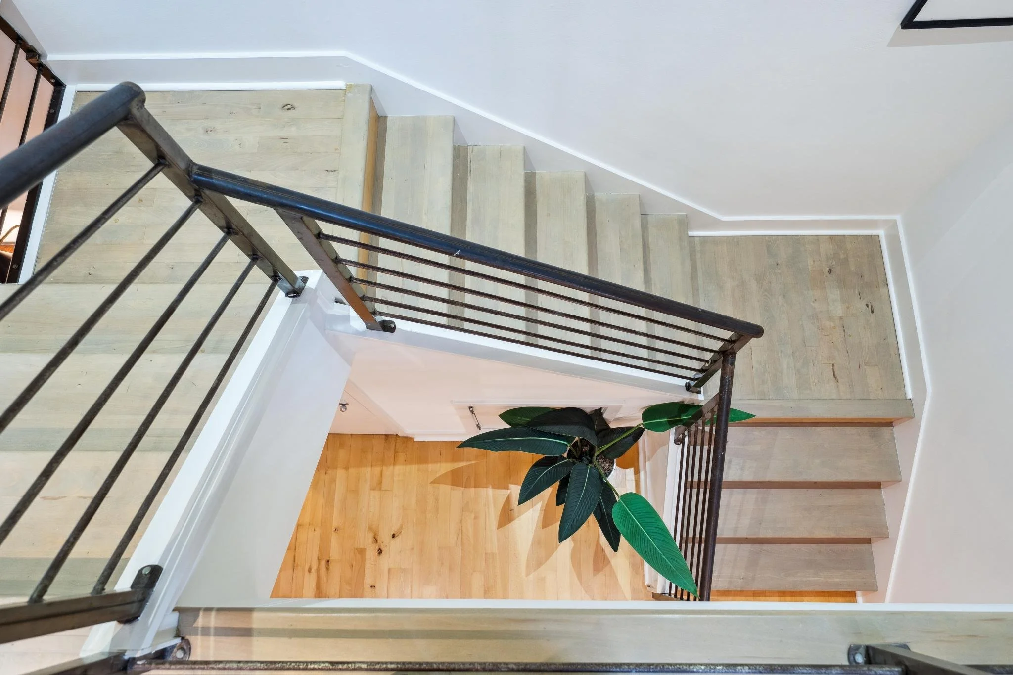 Overhead view of a staircase landing with wooden steps, black metal railing, a large potted plant with broad green leaves, white walls, and hardwood flooring below.
