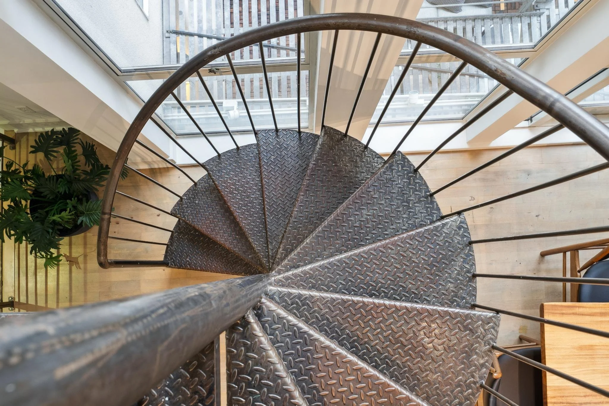 Top view of a metal spiral staircase with black diamond-patterned steps, surrounded by glass walls, inside a building with wooden floors and a green potted plant nearby.
