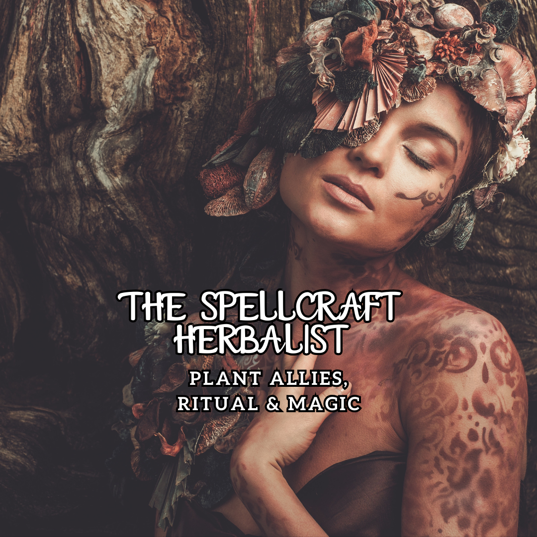 The Spellcraft Herbalist: Plant Allies, Ritual + Magic