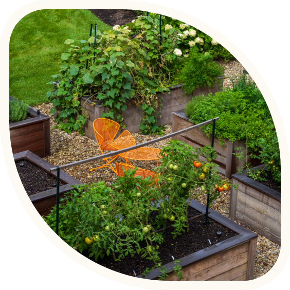 A garden with raised wooden beds filled with various plants, including tomato plants with green and ripening tomatoes, a climbing plant supported by stakes, a bright orange metal chair, and a small orange table, with a grassy area and gravel pathway.