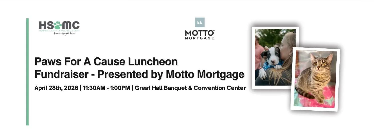 2026 HSoMC Paws for a Cause Luncheon Fundraiser - Presented by Motto Mortgage
