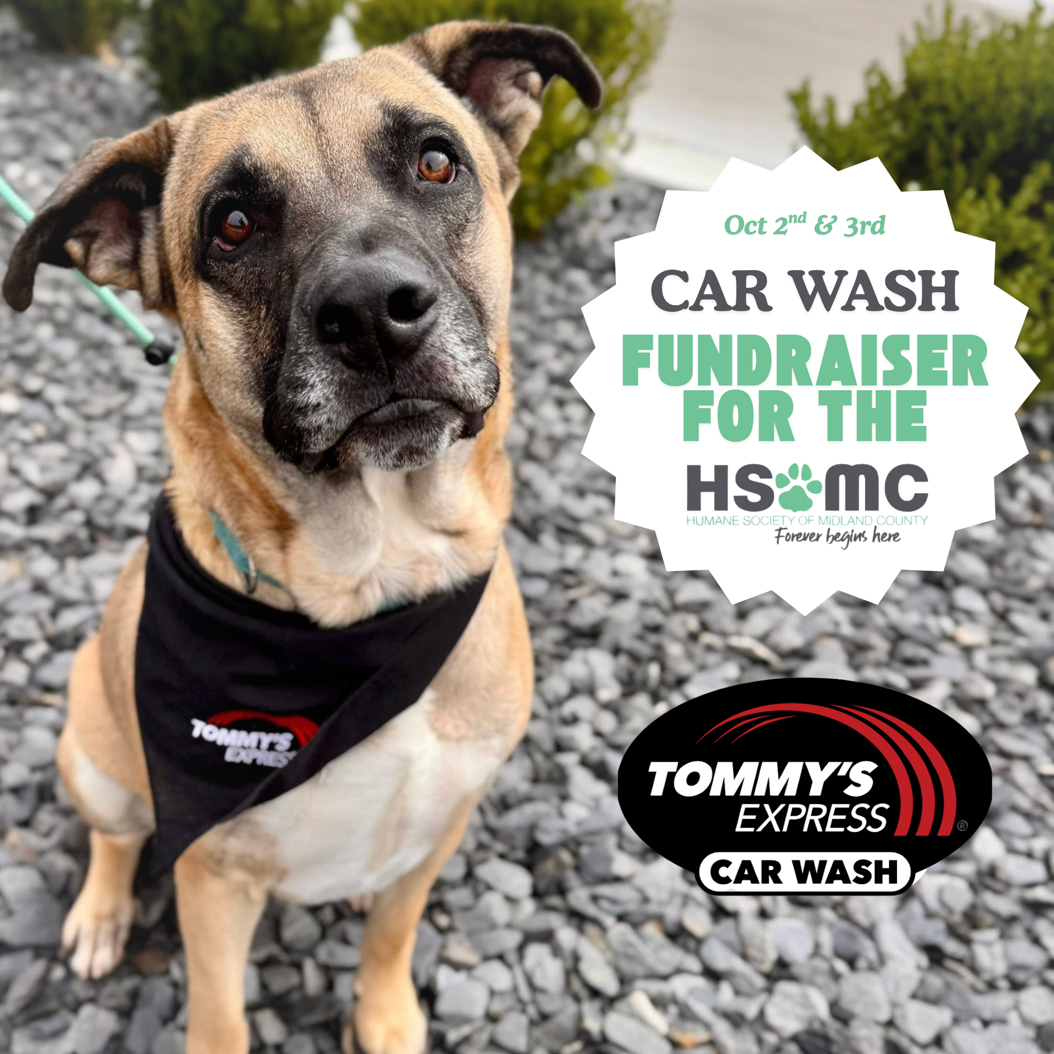 Tommy's Express Car Wash Fundraiser for the HSoMC