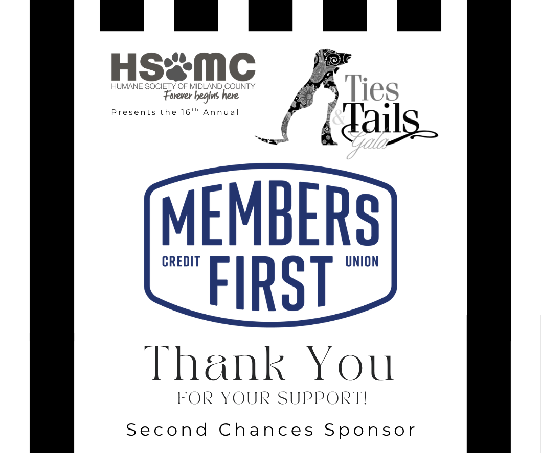 PWC Sponsor (3).png