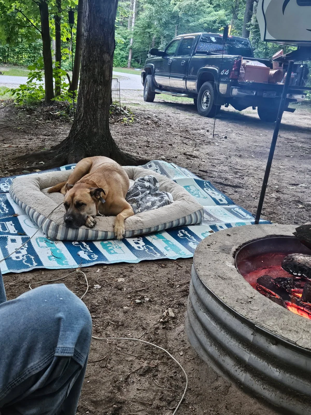 Hank Camping.jpg