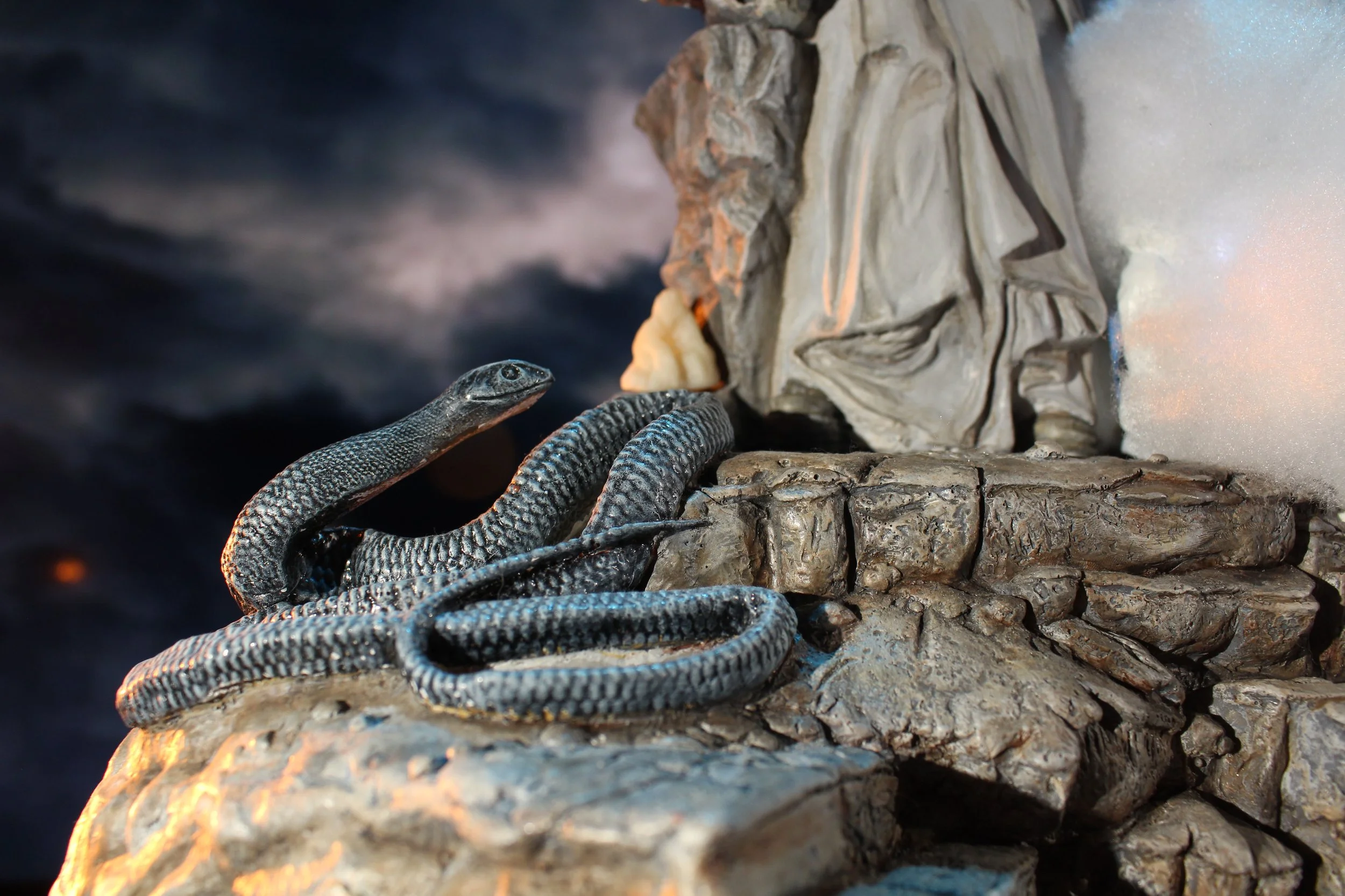A close-up of a black snake with white speckles coiled on a textured rock, with a large white seashell and a smaller seashell nearby, against a blurred dark background.