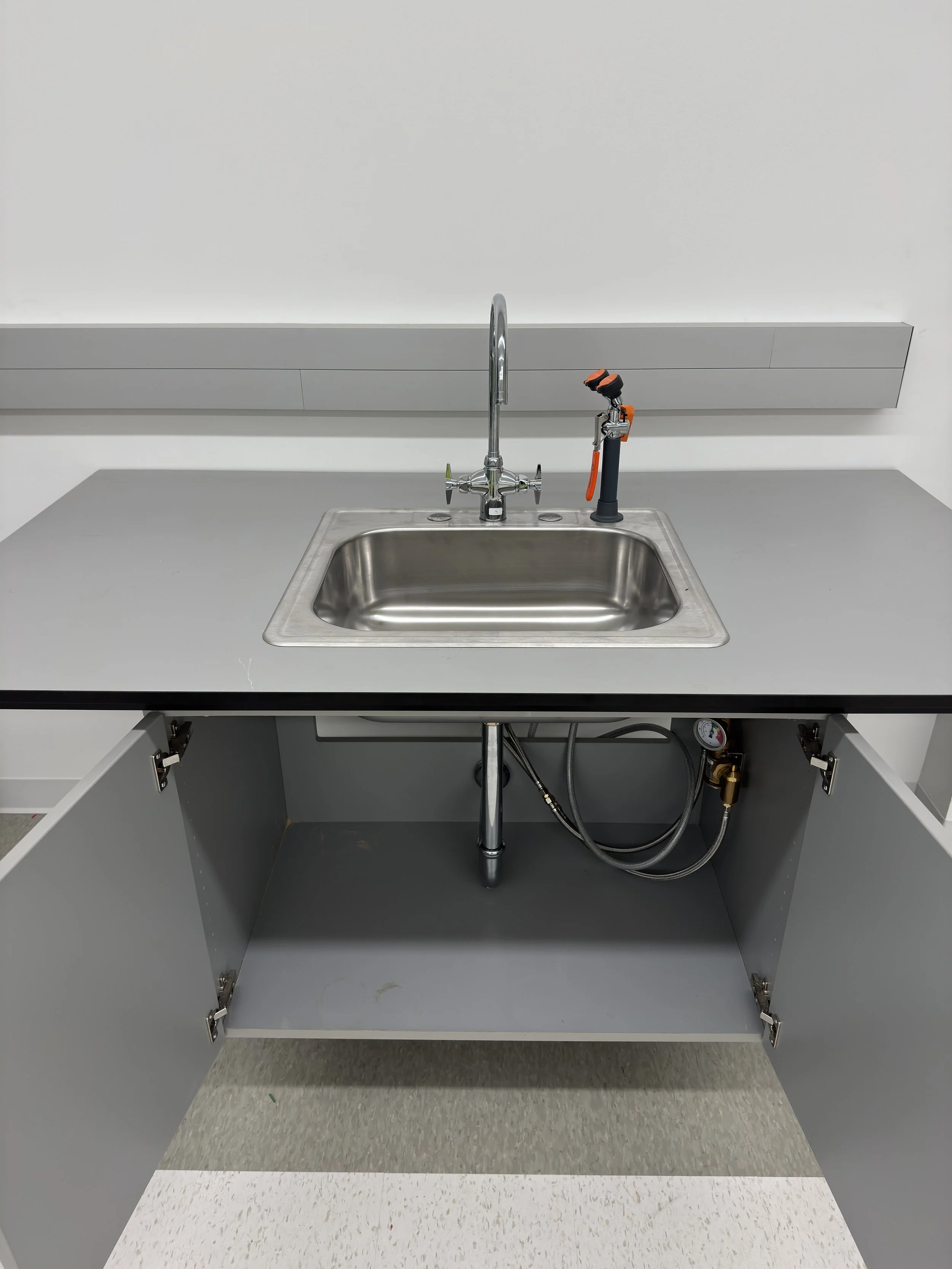 Lab Sink with Deck Level Eye Wash