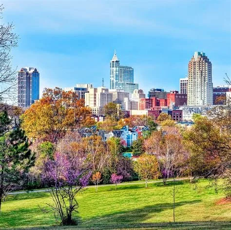 City skyline with tall buildings in the background and a park with trees and grass in the foreground.