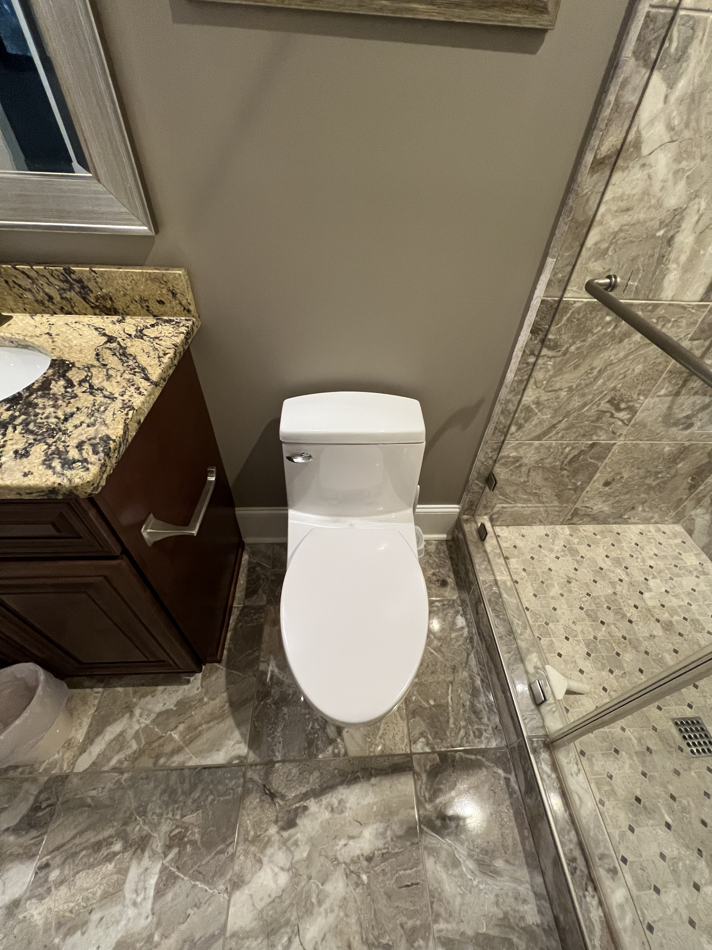 Tank Type Toilet
