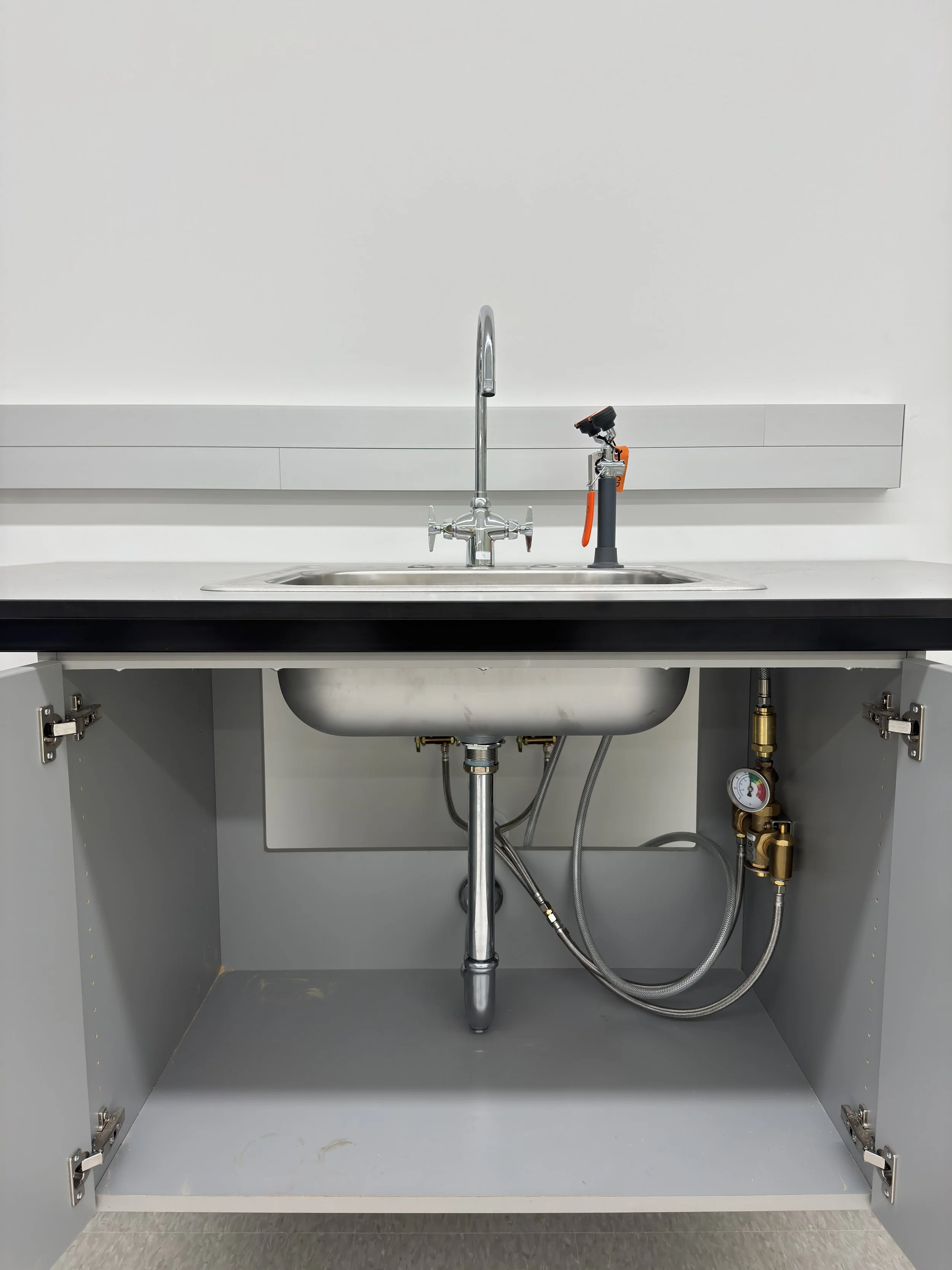 Lab Sink with Deck Level Eye Wash