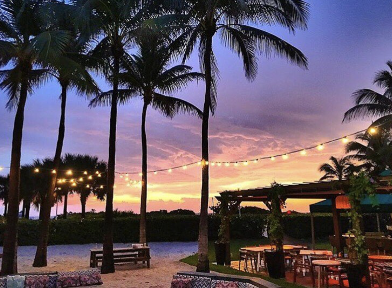 Screenshot 2026-02-19 at 3.36.24 PM.png