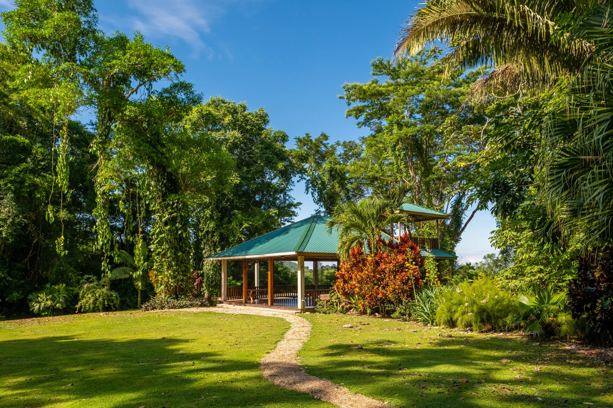 CTL - Yoga Palapa 2.jpg