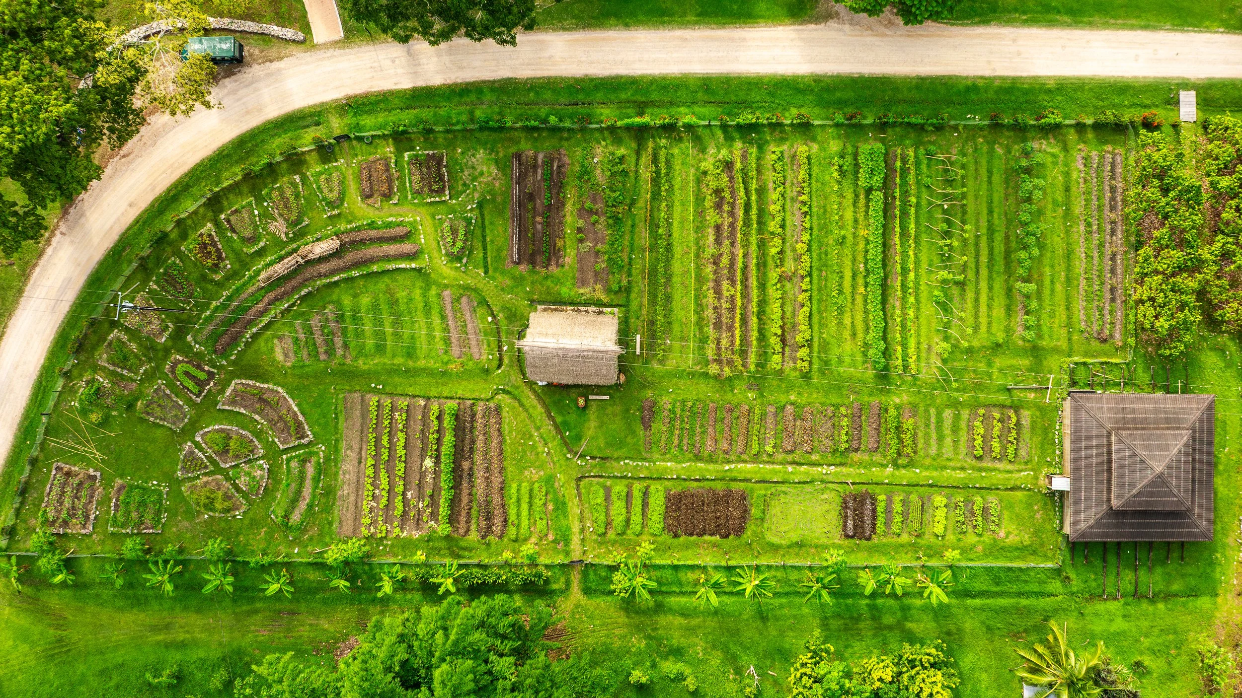 CTL - Farm-2.jpeg