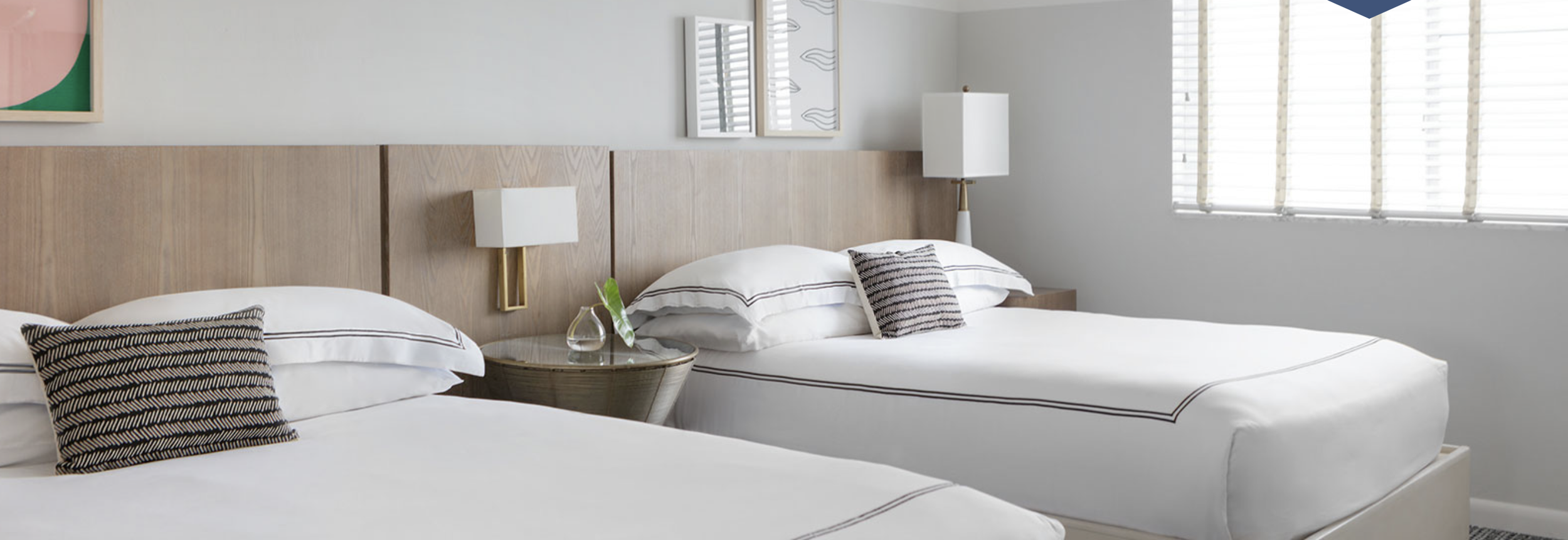 Screenshot 2026-02-19 at 3.01.02 PM.png