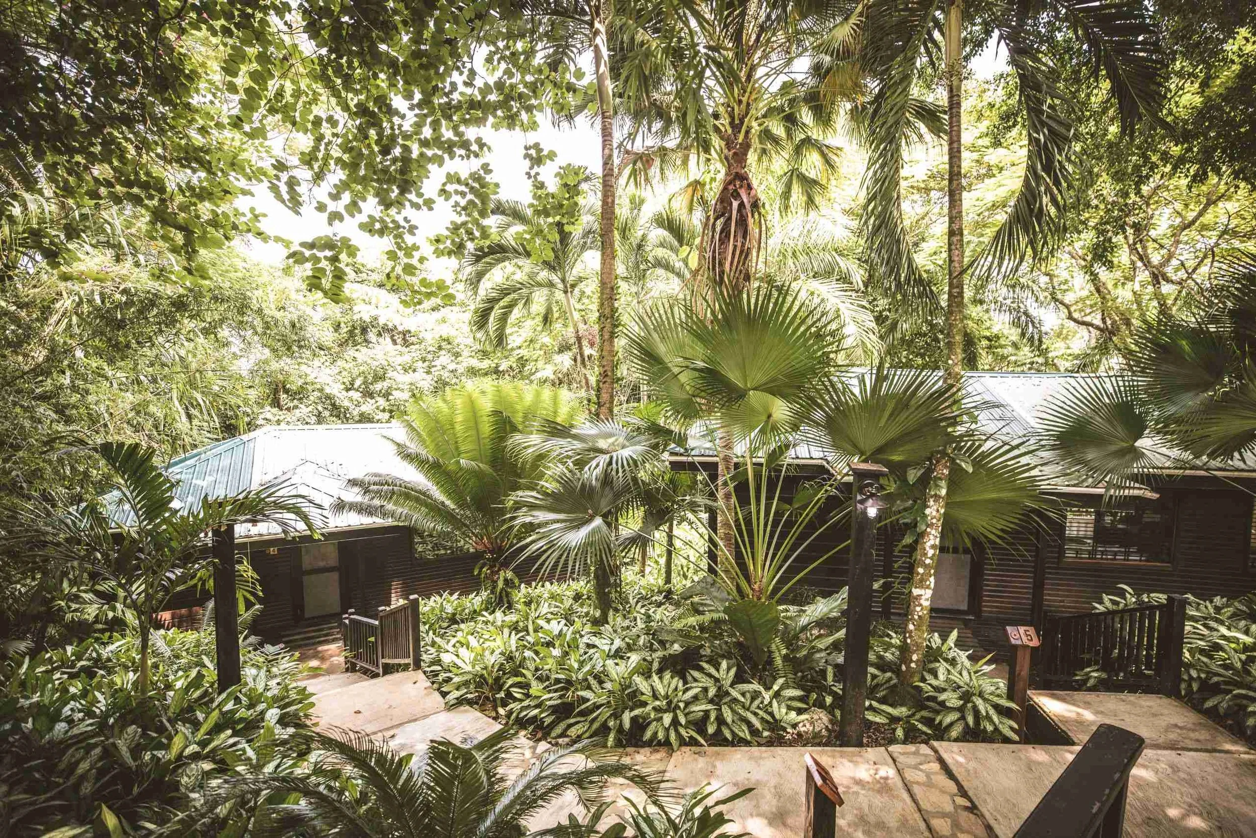 CTL - Rooms - Jungle Suites.jpeg