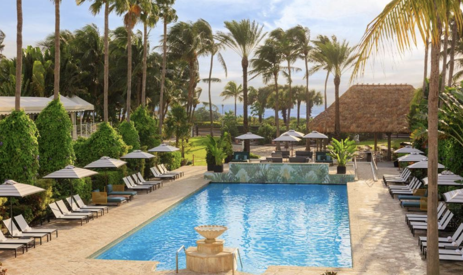 Screenshot 2026-02-18 at 3.24.26 PM.png