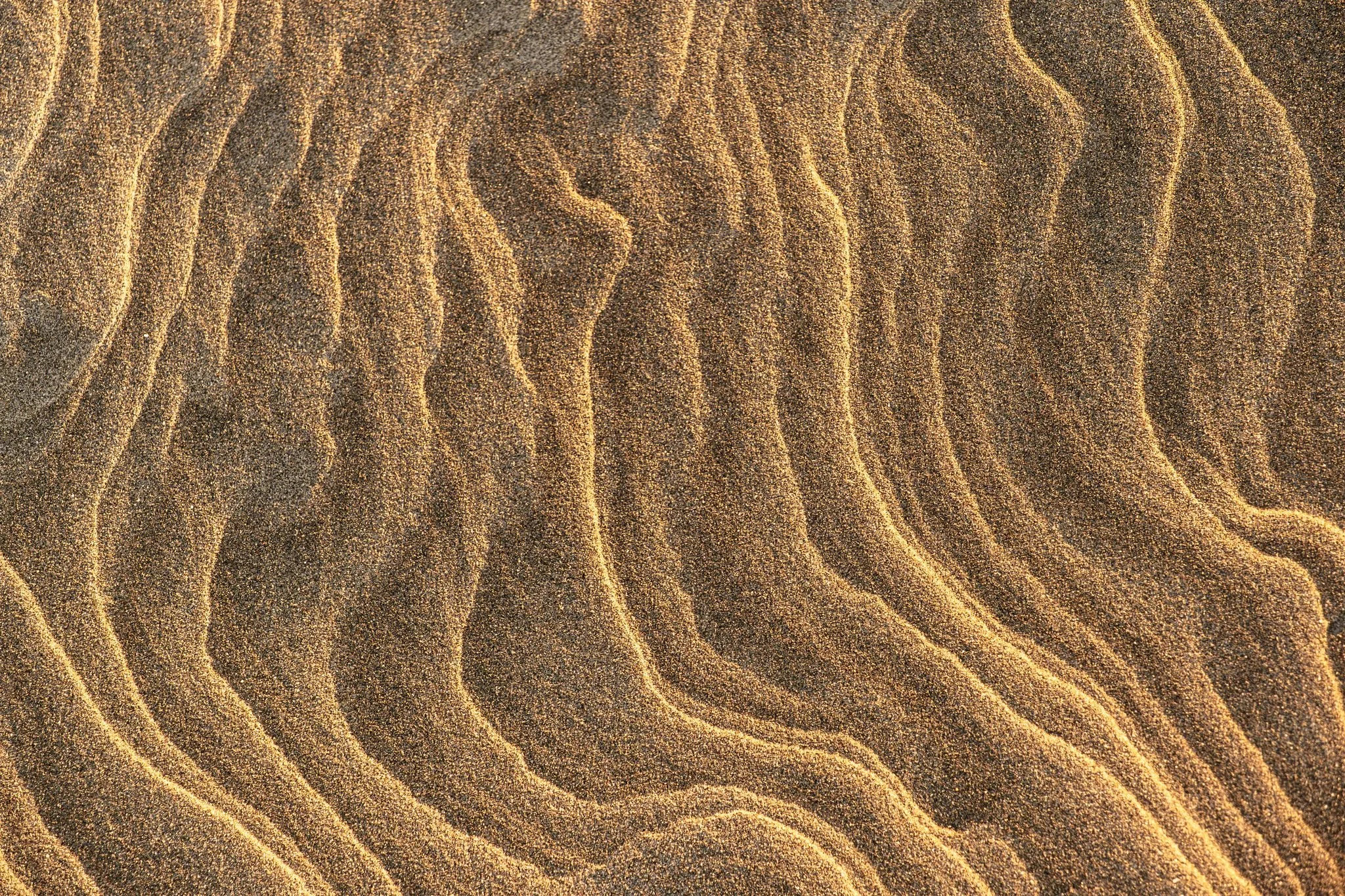 Whāriki Beach Collection
.
.
.
.
#newzealand #wharikibeach #whāriki #fineartphoto #beach #photography #textureart  #landscapephotography