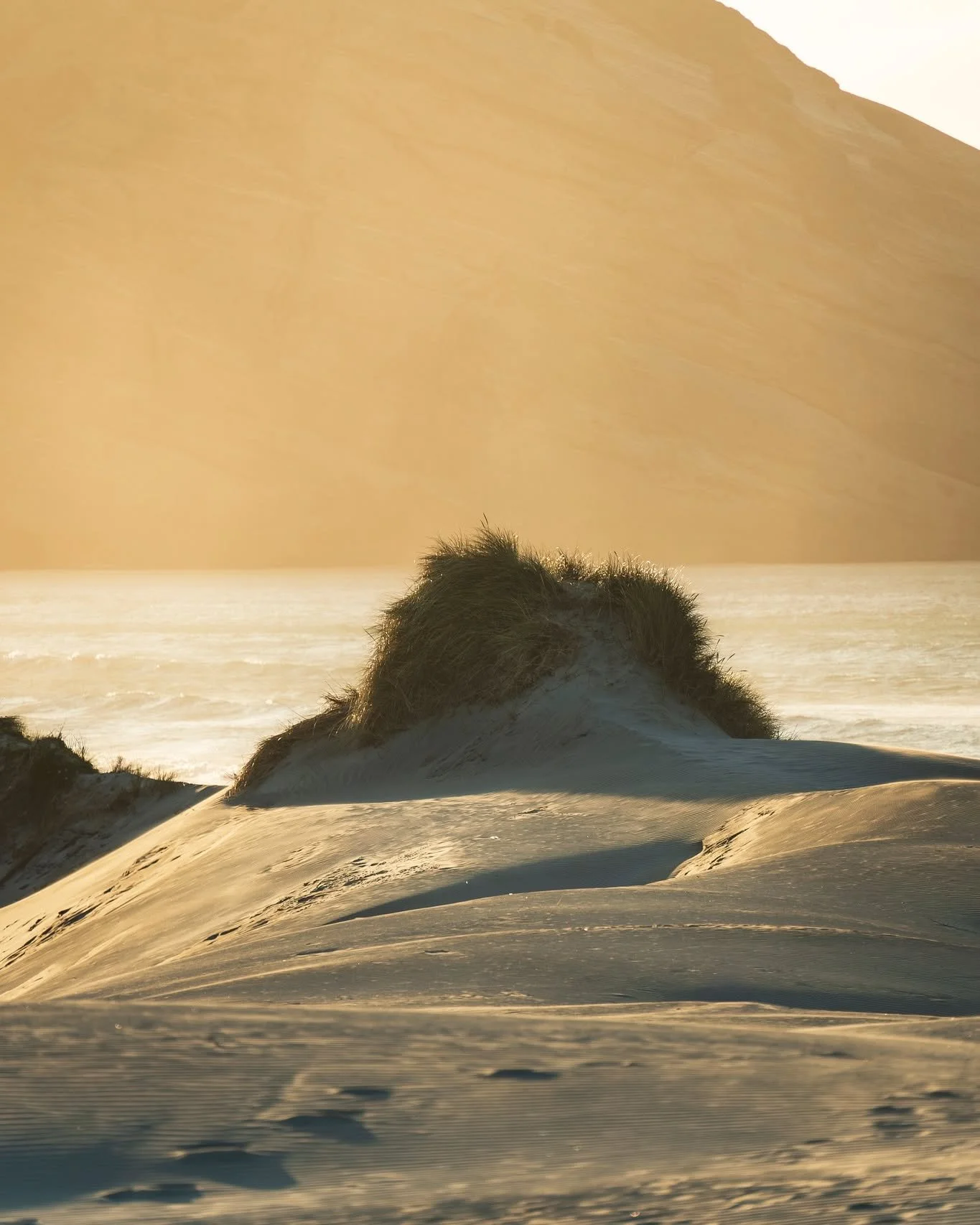 Whāriki Beach Collection
.
.
.
.
#Wharariki #SouthIslandNZ #Sunset #Nature #Photography SouthlslandNZ Sunset Nature Photography