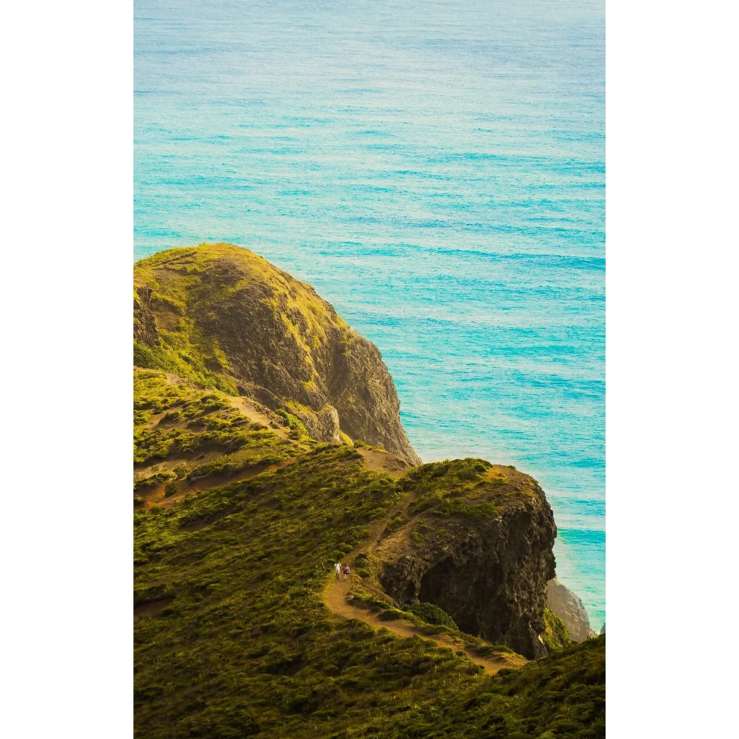 Cape Reinga Collection
.
.
.
.
#capereinga #newzealand #purenewzealand #landscapephotography #lighthouse