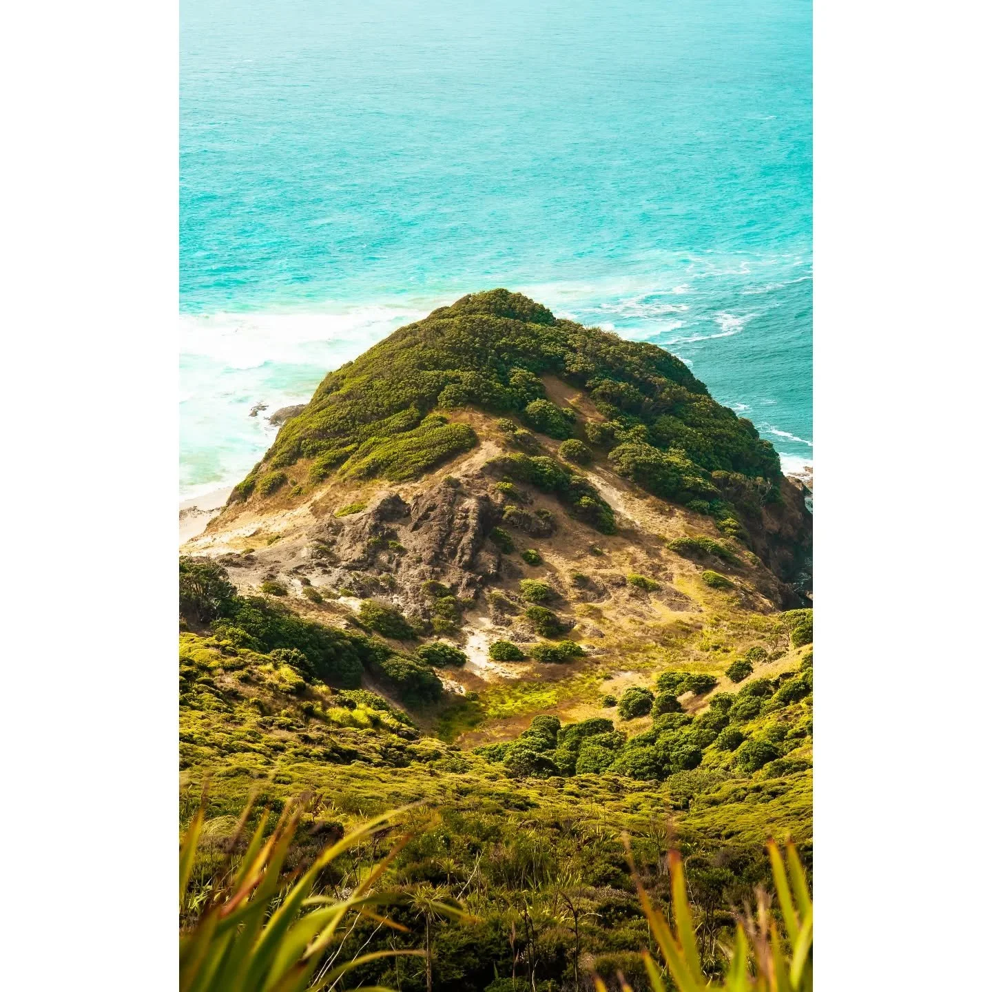 Cape Reinga Collection
.
.
.
.
#capereinga #newzealand #purenewzealand #landscapephotography #lighthouse