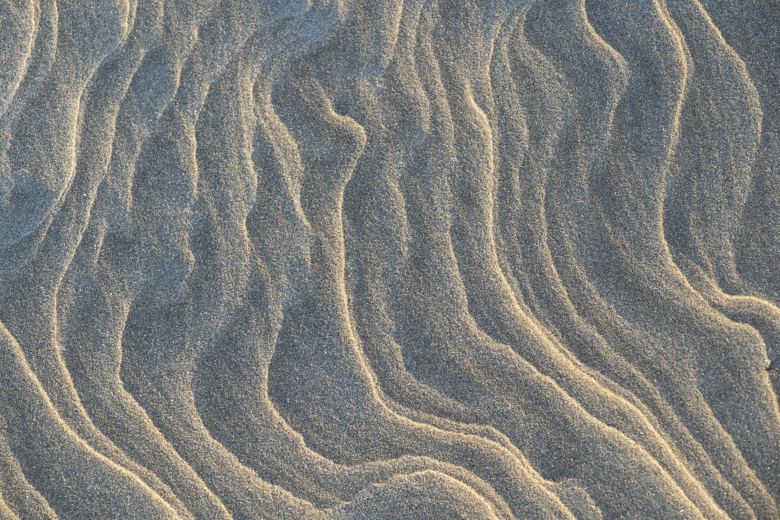 Whariki Queries (2 of 3).jpg