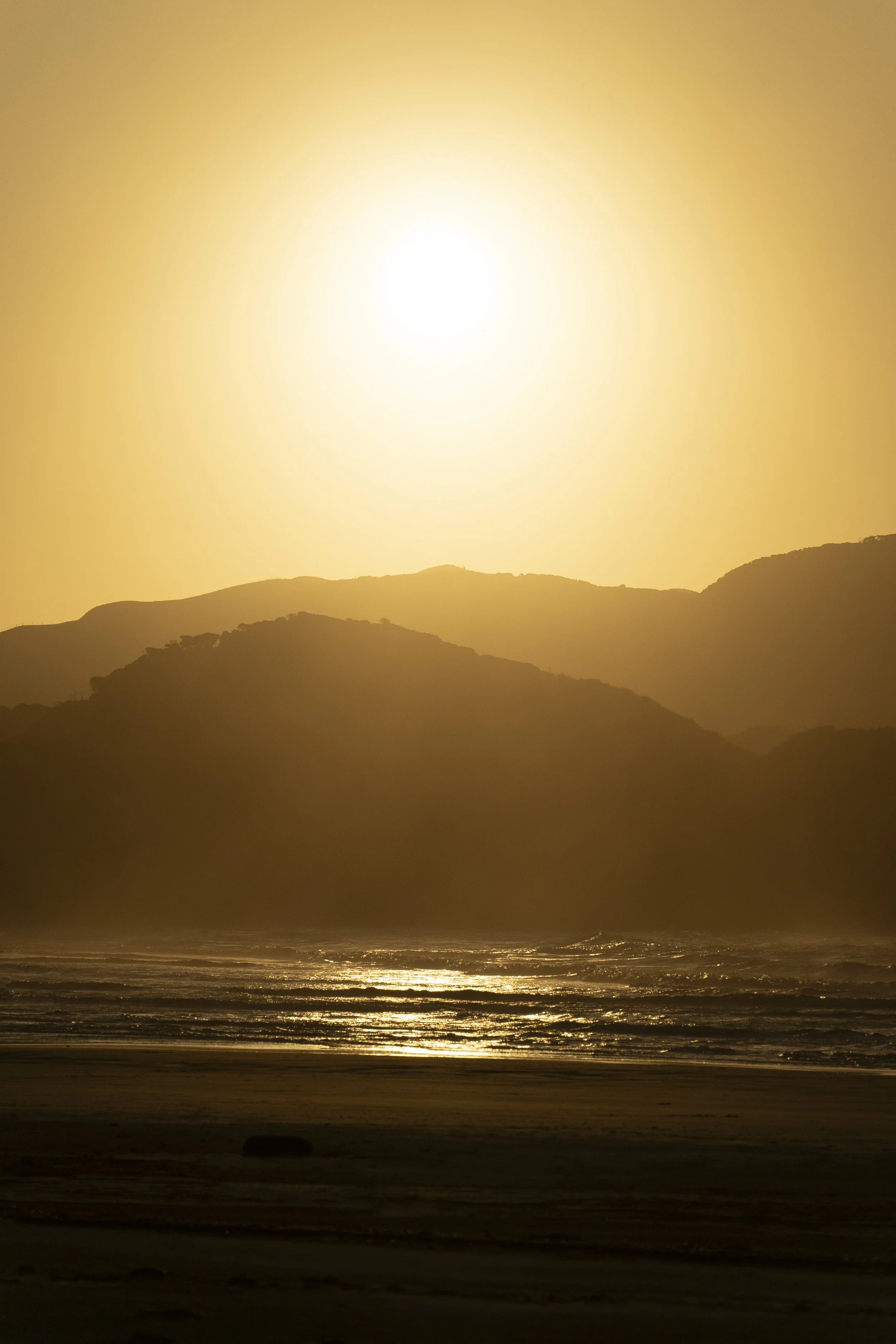 Whariki Queries (3 of 3).jpg