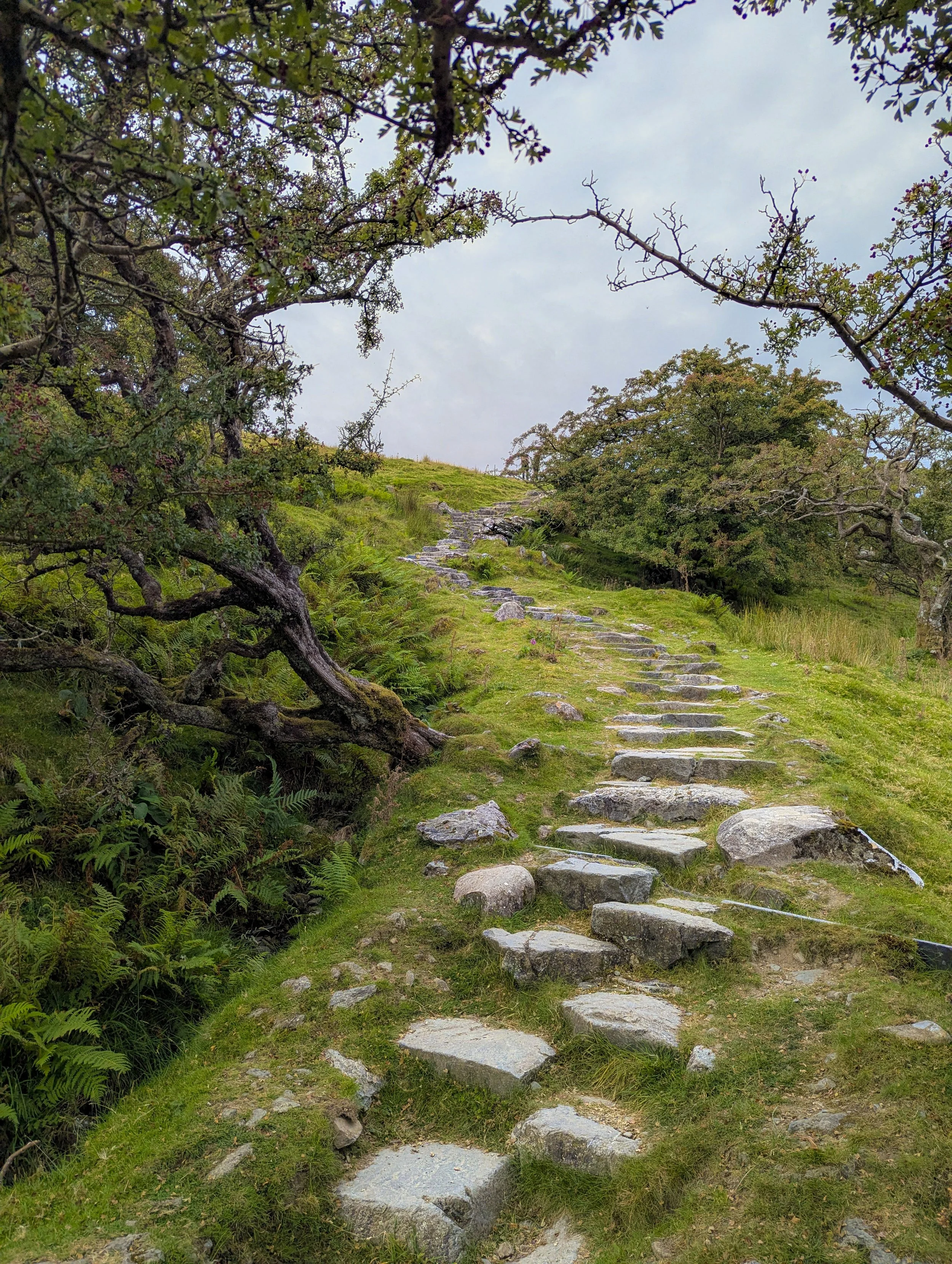 Cadair Idris.jpg