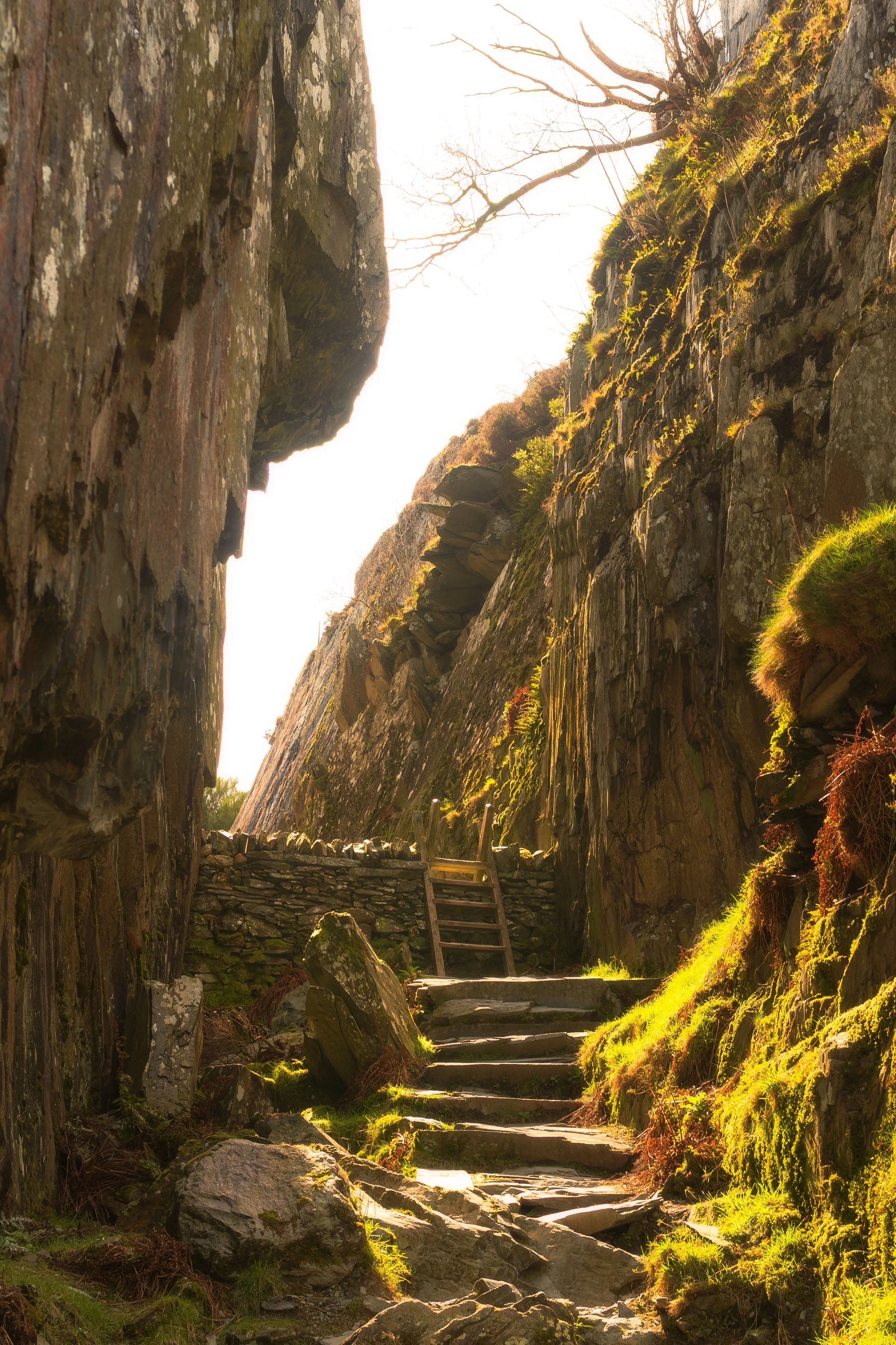 Hobbit Wall.jpg