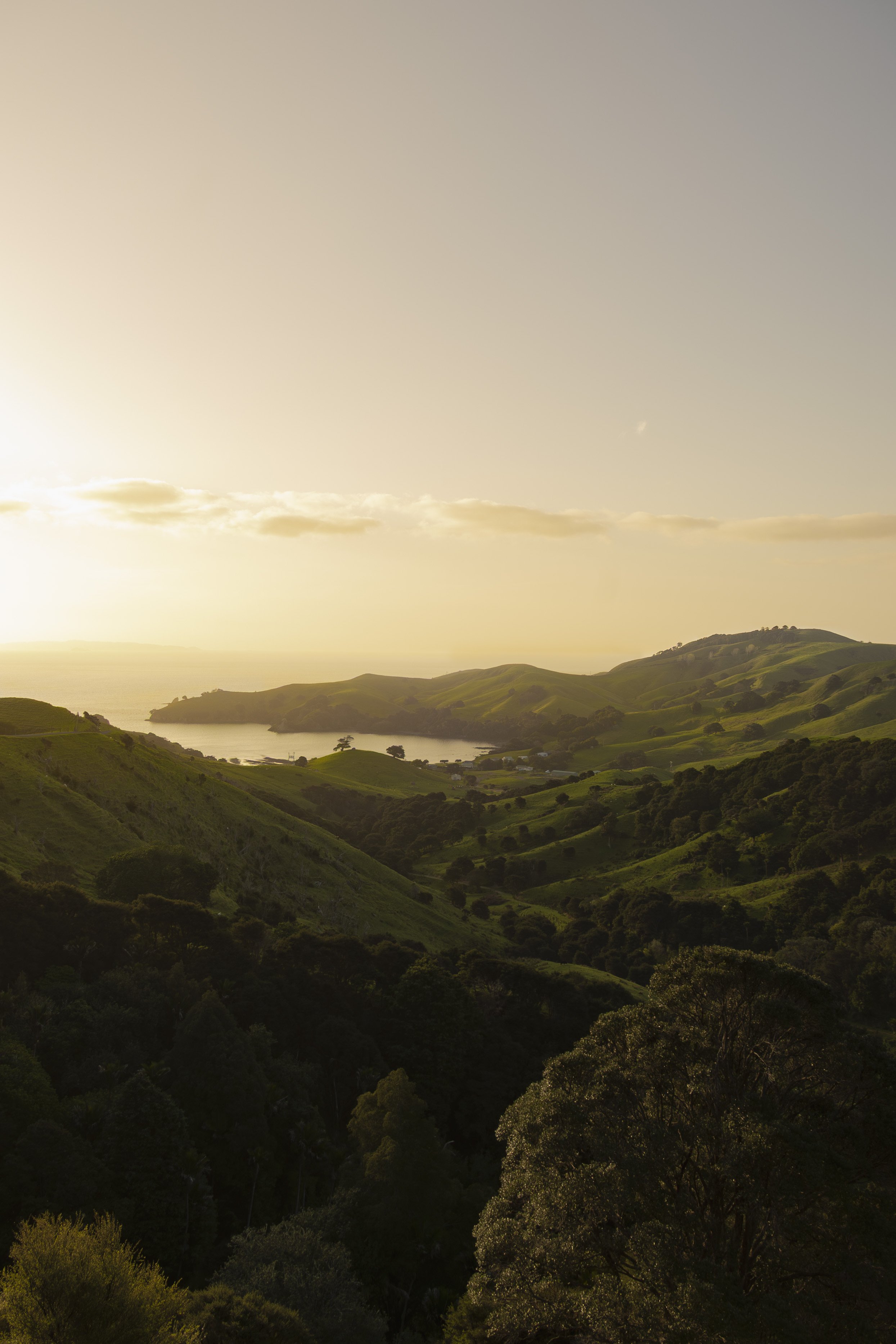 Coromandel Vertical (1 of 1)-3.jpg